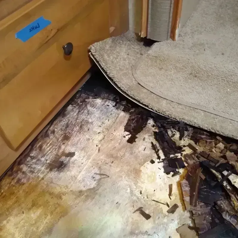 Wood Floor Water Damage in Worcester County, MD